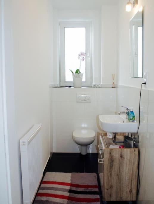 Appartement Gemuetliche 144qm Altbauwohnung In Am Hbf *